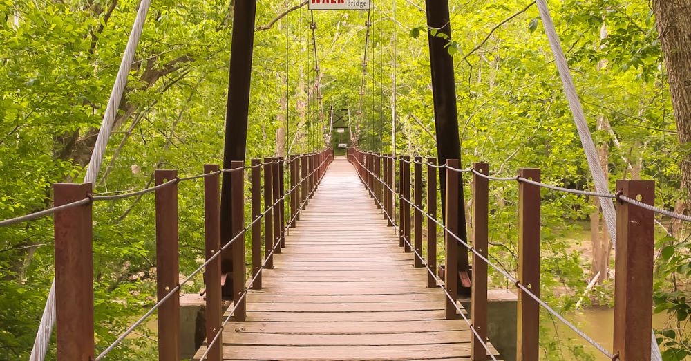 Park - Scenic wooden footbridge in a green forest park on a sunny day.