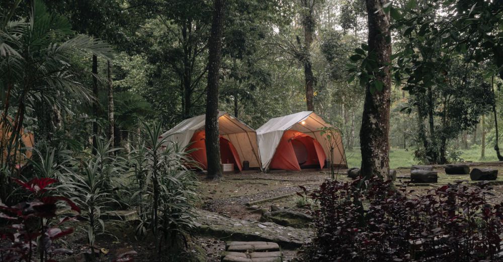 Campsites - Camp tent in the middle of wood