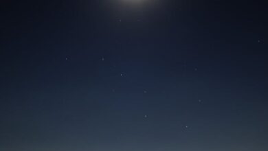 Stargazing - A person stands silhouetted against a moonlit night, stargazing in Brixen, Italy.