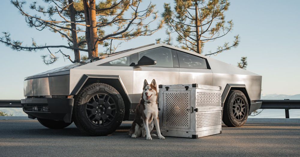 Dog-Friendly - A Tesla Cybertruck parked outdoors with a dog and premium crate, set against a scenic backdrop.