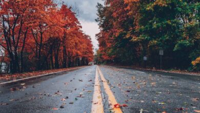 Free - A vibrant autumn scene with colorful foliage lining a wet road in Long Pond, PA.