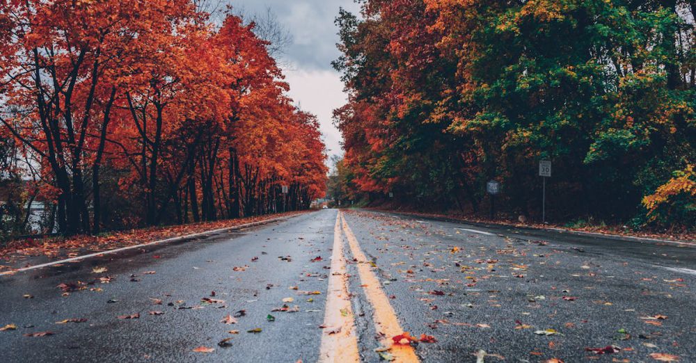 Free - A vibrant autumn scene with colorful foliage lining a wet road in Long Pond, PA.