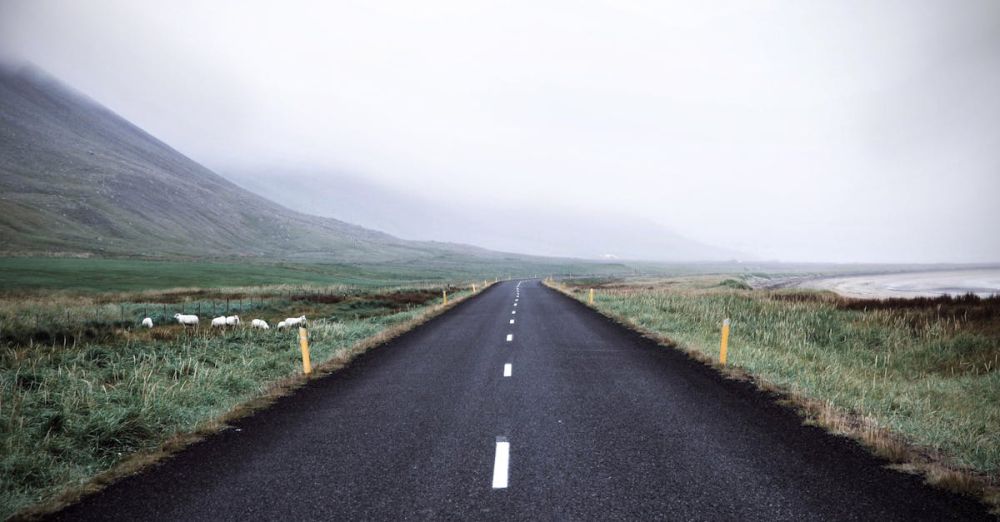 Trip - A misty road in rural Iceland offers a breathtaking view with its lush grass and mountains.