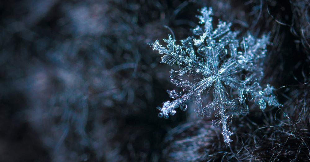 Winter - Intricate close-up of a snowflake showcasing its frosty crystalline structure in a winter setting.