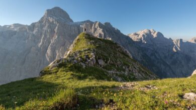 Expeditions - Experience the serene beauty of the Julian Alps, captured in daylight with lush green pastures and towering peaks.