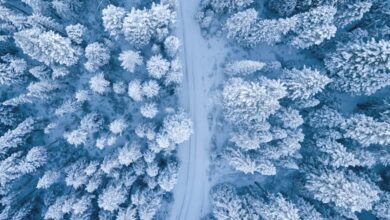 Winter - A mesmerizing aerial perspective of a snowy winter forest with a winding path.