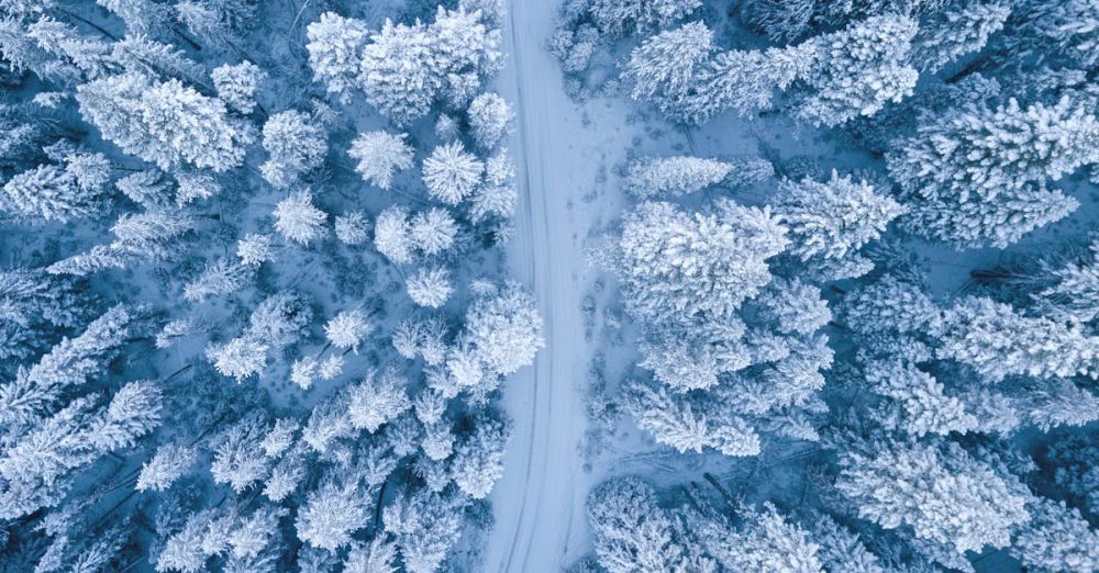 Winter - A mesmerizing aerial perspective of a snowy winter forest with a winding path.