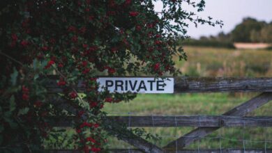 Private - Wooden fence with private sign and red berries in a rural garden landscape