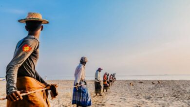 Fishing - A group of Sri Lankan fishermen pulling nets on a beautiful sandy beach during daylight.