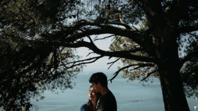 Romantic - A couple embracing under trees with a scenic ocean view, conveying love and tranquility.