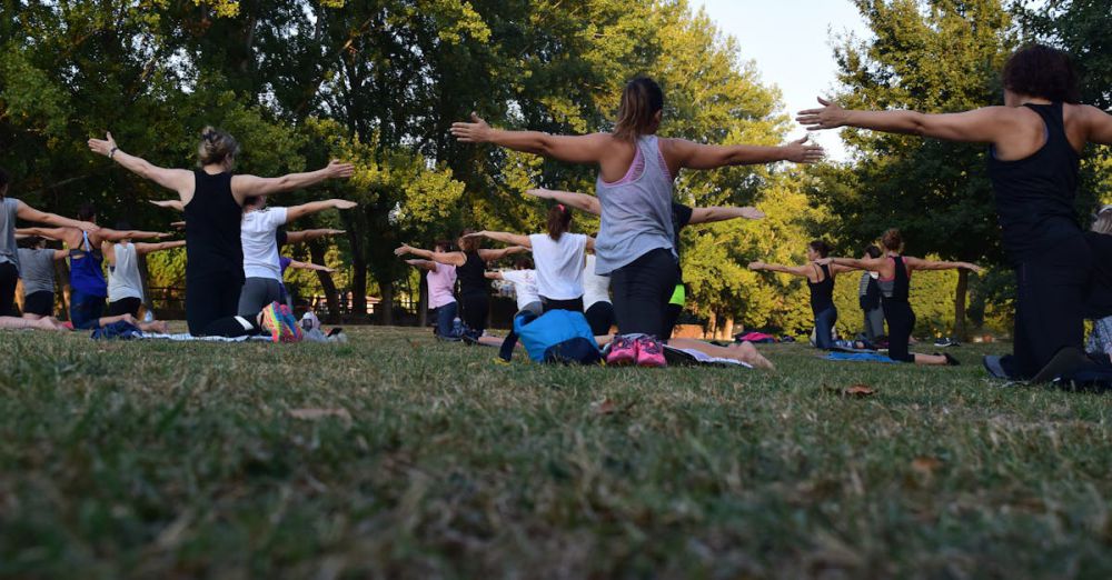 Activities - Group of adults practicing yoga outdoors in a park surrounded by trees.