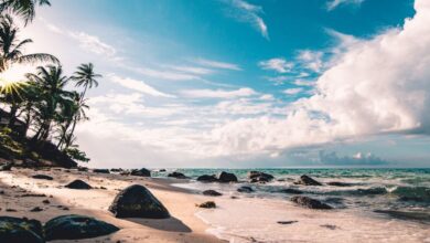 Beaches - Experience the serene beauty of a tropical beach in RAAS, Nicaragua, with palm trees and ocean waves.