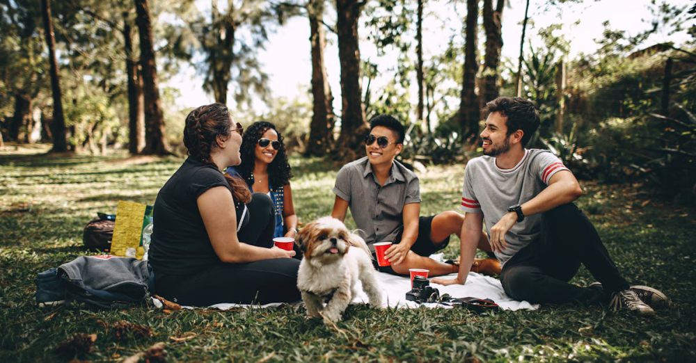 Picnic - Friends having a fun picnic in the park with a Shih Tzu, enjoying a sunny day outdoors.