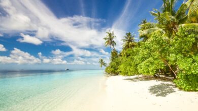 Beaches - Pristine beach with turquoise waters and palm trees on Laamu Atoll, Maldives.