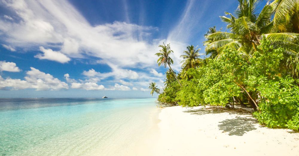 Beaches - Pristine beach with turquoise waters and palm trees on Laamu Atoll, Maldives.