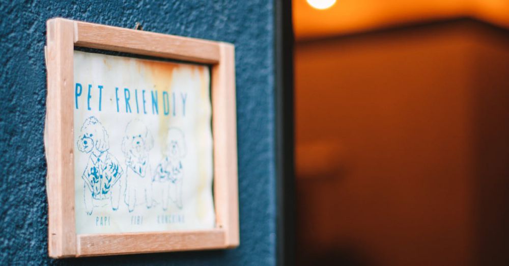 Dog-Friendly - Pet-friendly sign in wooden frame on blue wall, soft bokeh lights in background.