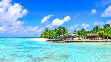 Beaches - Stunning tropical beach with clear waters and palm trees under a bright sunny sky.