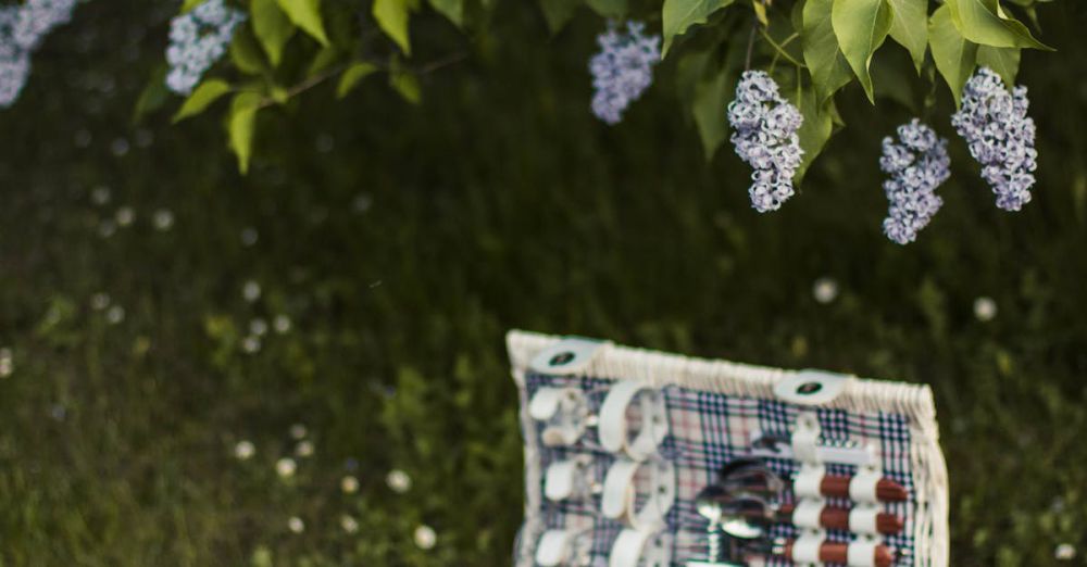 Picnic - Charming outdoor picnic setup with wicker basket on a sunny day.