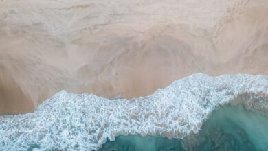 Coastal - A stunning aerial view showcasing a sandy beach meeting the turquoise ocean waves. Perfect for travel and nature themes.