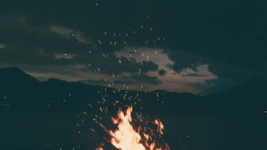 Bonfire - A peaceful campfire burning brightly under a starry sky in Colibița, Romania, creating a warm and cozy atmosphere.