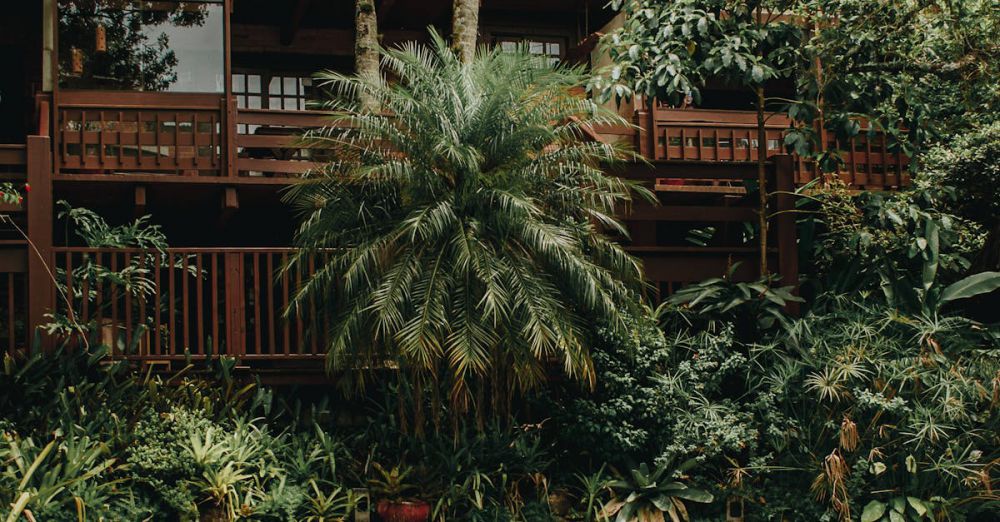 Luxury Vacations - Relaxing poolside at a luxury resort with lush tropical surroundings in Bombinhas, Brazil.