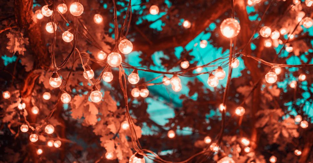 Lights - Magical scene with glowing string lights hanging in trees, perfect for festive occasions.