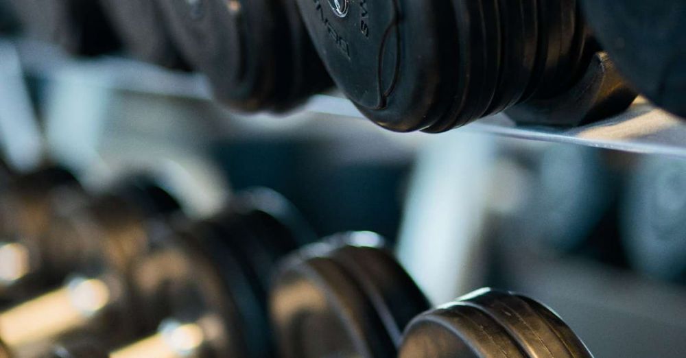 Dumbbells - Close-up view of black dumbbells neatly arranged on a rack in a gym.