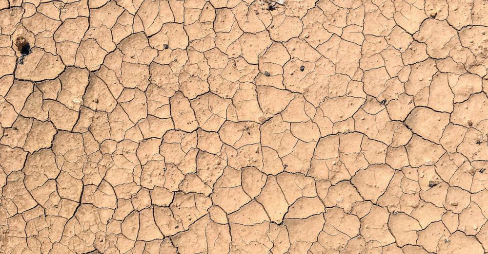 Dehydrators - Close-up view of cracked, dry earth showing effects of severe drought and arid conditions.