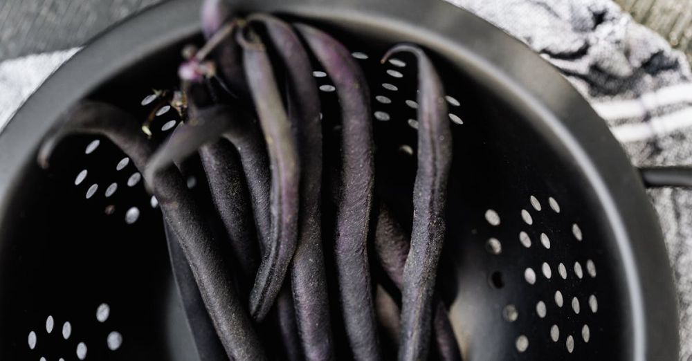 Colanders - Fresh purple string beans in a black colander, ready for cooking.