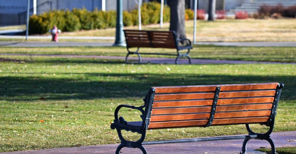 Benches - Peaceful park scene with wooden benches and lush grass, ideal for relaxation.