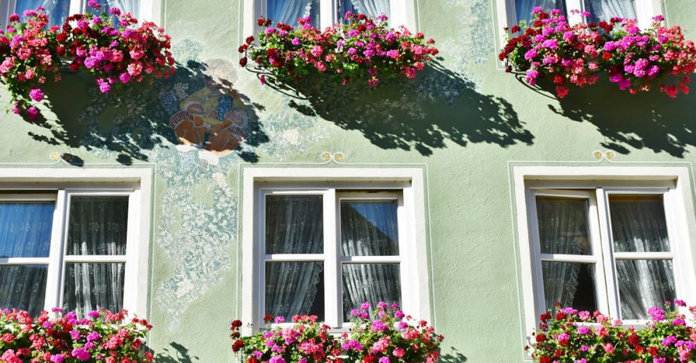 Planters - Beautiful building facade adorned with vibrant flower boxes and windows casting shadows.