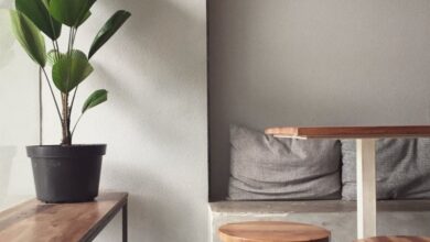 Stools - A minimalist, modern indoor seating area with wooden furniture and a potted plant, perfect for a cozy home interior.