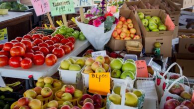 Healthy Boxes - Fresh fruits and vegetables for sale at a North Carolina farmers market stall.