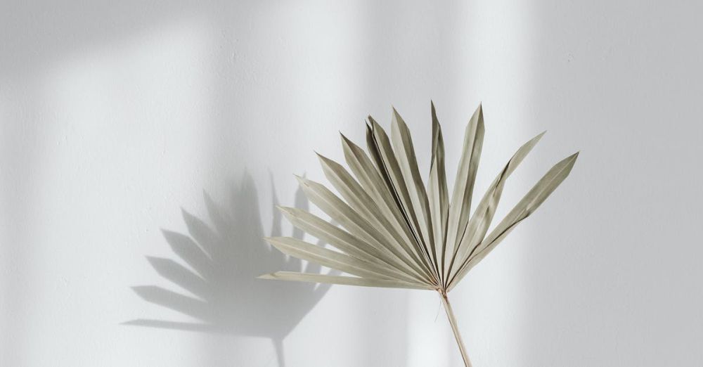 Accent Tables - Elegant minimalist decor featuring a black vase with a palm leaf against a white background.