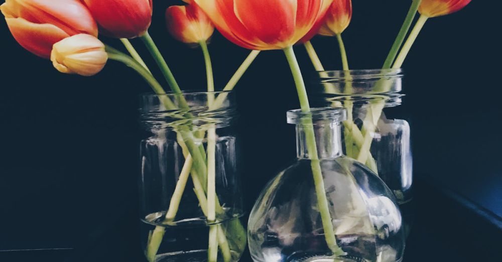 Vases - Striking orange and red tulips arranged beautifully in clear glass vases, set against a dark backdrop.