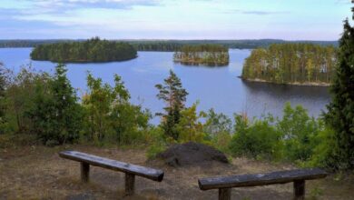 Benches - Scenic view of benches overlooking a serene Scandinavian lake with islands and lush trees, perfect for relaxation.