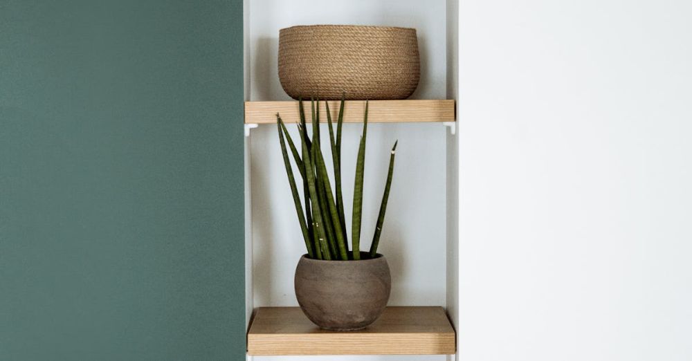 Decor Pieces - Stylish minimalist wooden shelf with decorative vases and a small plant, ideal for modern interiors.