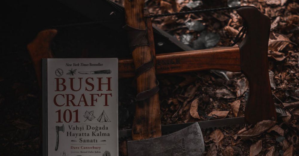 Camping Axes - A close-up of axes and a book in an autumn forest setting in Türkiye.