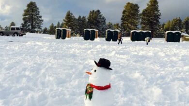 Portable Toilets - A charming snowman stands in a snowy landscape with pine trees and clouds, perfect winter scene.