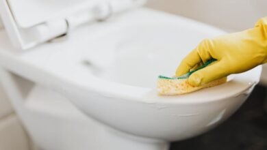 Toilet Cleaners - Close-up of a gloved hand using a sponge to clean a toilet, focusing on hygiene.