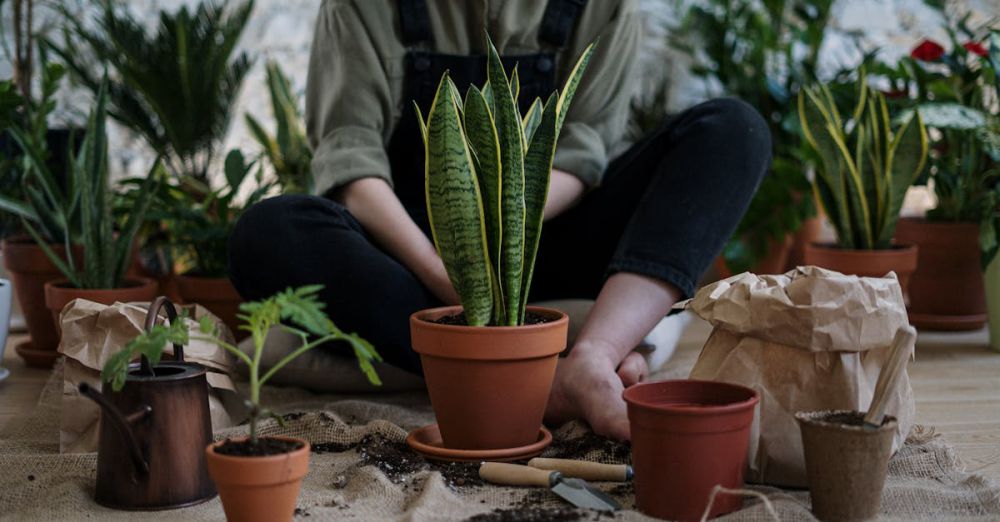 Garden Trowels - Person sitting indoors surrounded by potted plants and gardening tools, fostering nature