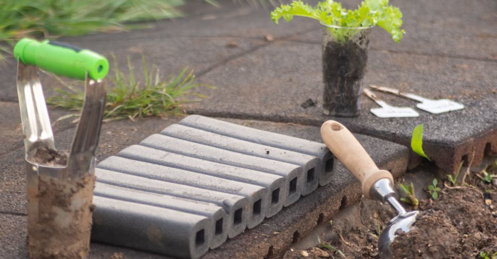 Seed Starters - Close-up of gardening tools and a seedling ready for planting outdoors. Ideal for spring gardening tips.