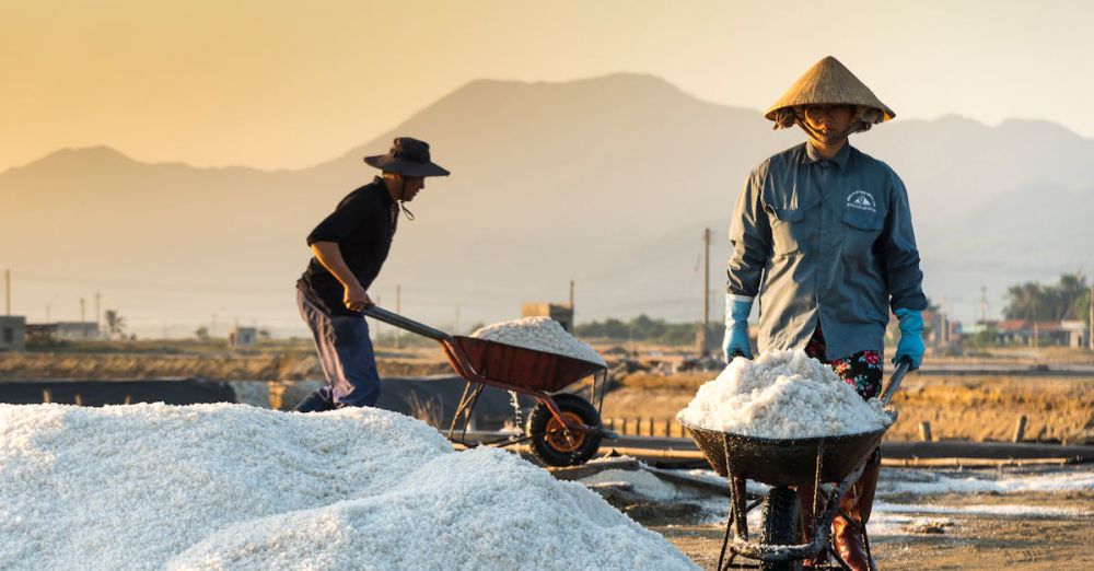 Wheelbarrows - Two workers collecting salt at sunrise, showcasing traditional methods in a scenic outdoor setting.