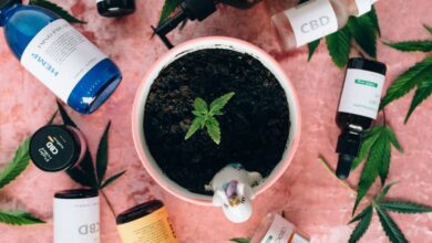 Soil Products - Flatlay of CBD products and cannabis plant, ideal for wellness and lifestyle themes.