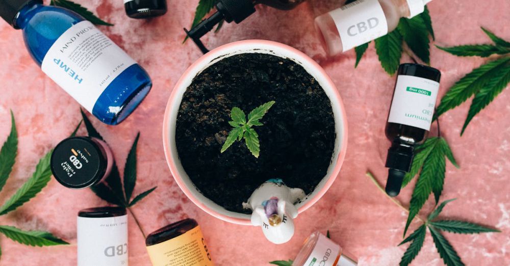 Soil Products - Flatlay of CBD products and cannabis plant, ideal for wellness and lifestyle themes.