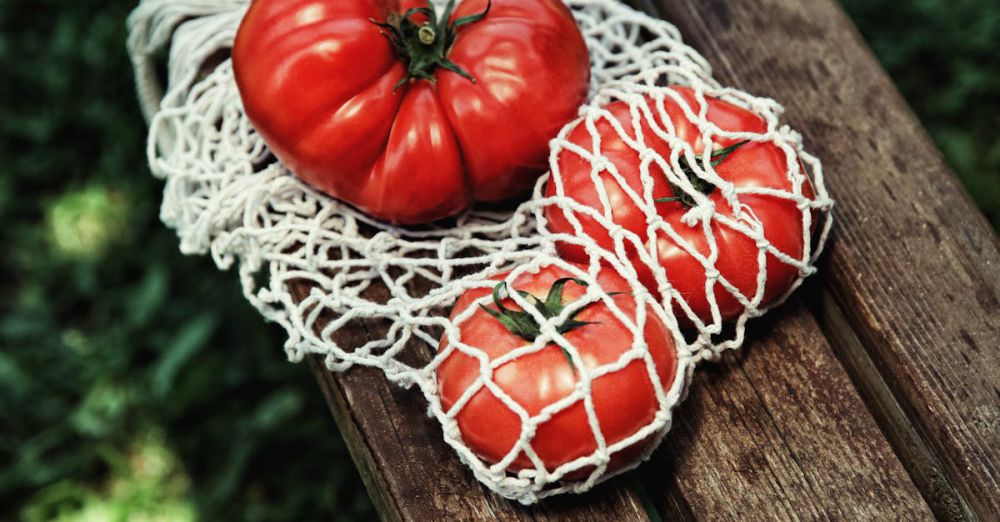 Garden Nettings - Close-up of ripe red tomatoes in a net bag on an outdoor wooden bench.