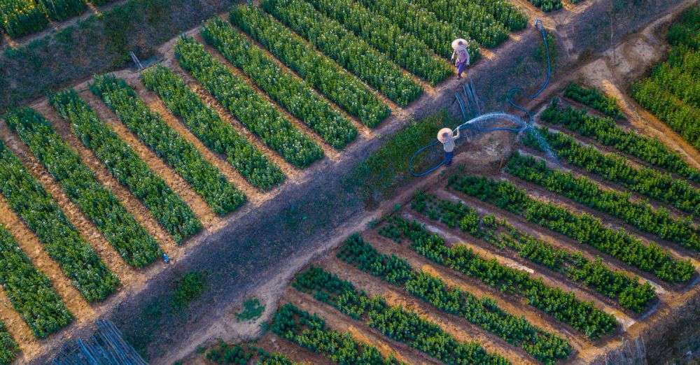 Irrigation Systems - High angle shot of farmers tending to lush green cropland using irrigation systems.