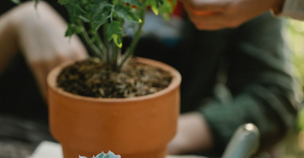 Plant Labels - Two people tending to potted plants outdoors with gardening tools.