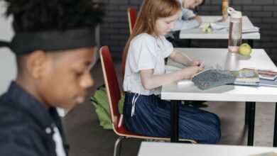 Pencil Cases - Diverse classroom scene with attentive children working at desks, fostering education.