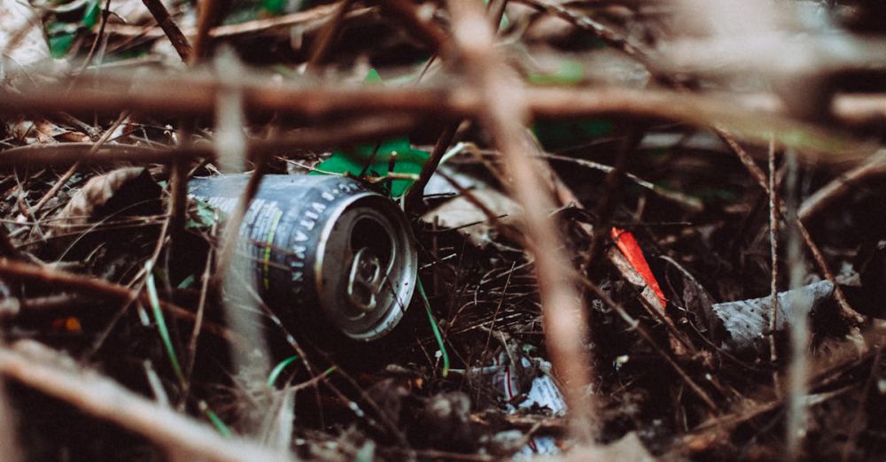 Trash Can Systems - Close-up of a discarded can and trash in the underbrush, highlighting urban waste in nature.